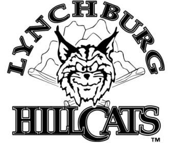 林奇堡 Hillcats