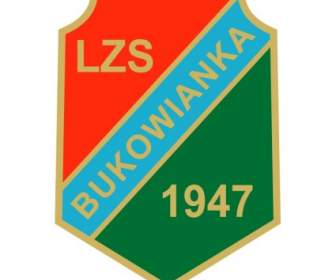 LZS Bukowianka Stielaugen Bukowno