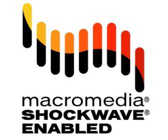 Shockwave Macromedia ที่เปิดใช้งาน