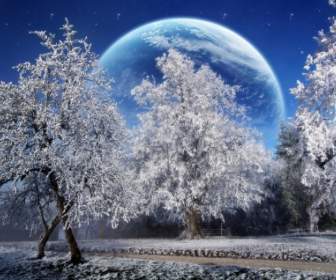 Magic Winter Wallpaper Photo Manipulated Nature