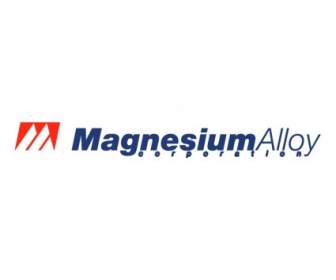 Magnesium Alloy