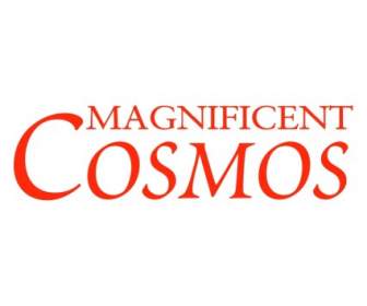 Magnifique Cosmos