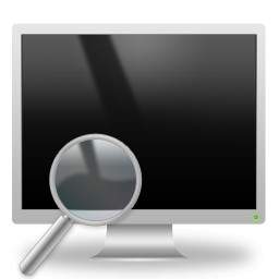 Magnifier And Lcd Monitor