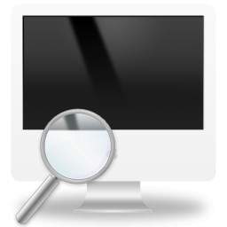 Magnifier And Lcd Monitor