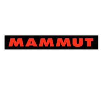 «Mammut»