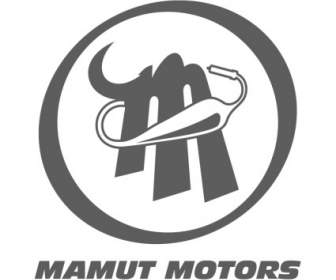 Mamut 모터