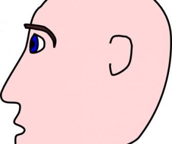 Man Head Side Bald Clip Art