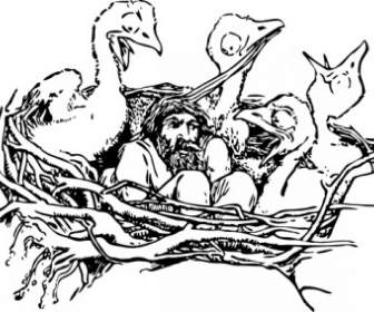 Man In A Bird S Nest Clip Art