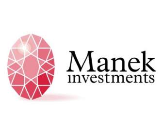 Manek Investments