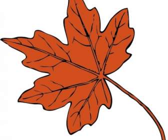 Clipart De Maple Leaf