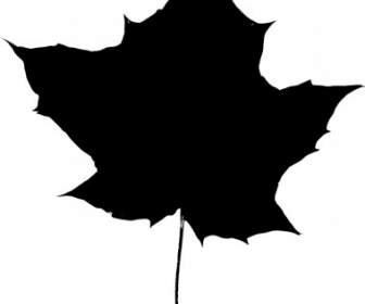 صورة ظلية نبات القيقب