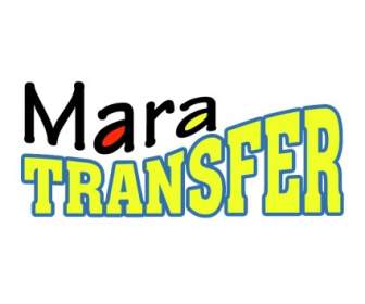 Mara Transfer