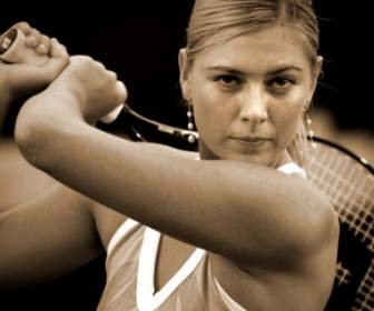 Jogador De Tênis Maria Sharapova, Papel De Parede Celebridades Femininas De Maria Sharapova