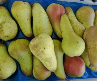 Market Pears Eat