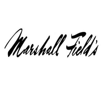 Bidang Marshall