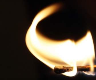 Match Flame Wallpaper Miscellaneous Other