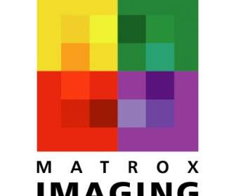 Matrox 影像