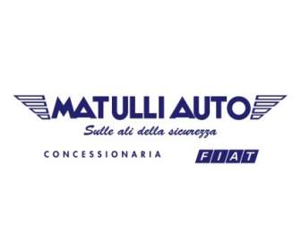 รถยนต์ Matulli