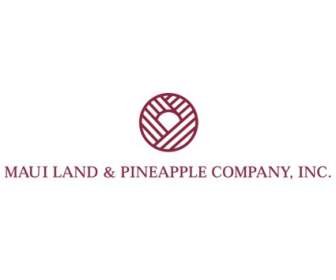 Maui Land Pineapple Company
