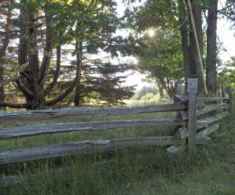 Meadow Fence