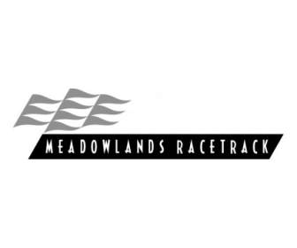 Meadowlands สนามแข่ง