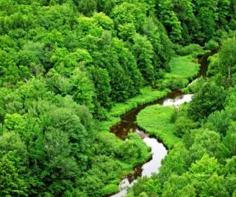 Meandri Natura Di Flusso Sfondi Paesaggio