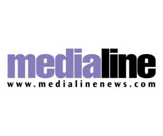 Medialine 뉴스