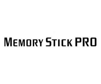 карту памяти Memory Stick Pro