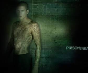 Michael Scofield Tatouage S Fond D'écran Prison Break Movies