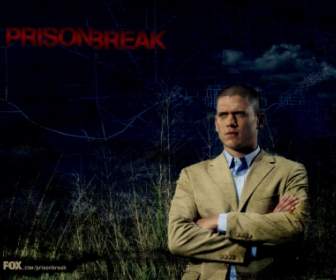 Michael Scofield Wallpaper Penjara Istirahat Film