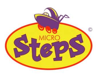 Micro Steps