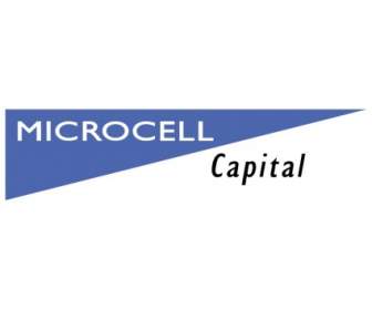 Microcell 자본
