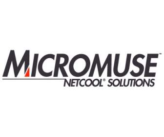 Micromuse