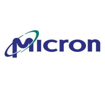 Micrones