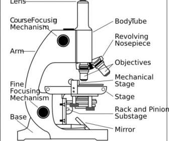 Mikroskop Mit Etiketten-ClipArt