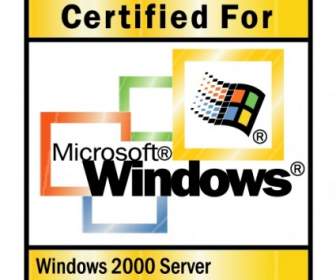 Microsoft Windows 伺服器