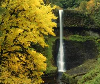 Middle North Falls Wallpaper Waterfalls Nature