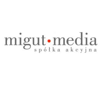 Migut Media