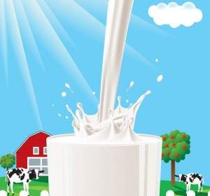 Milk Theme Vector