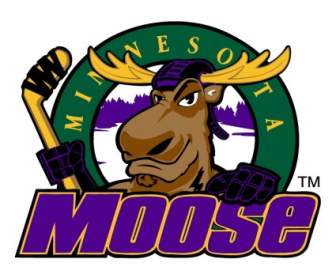 Moose Du Minnesota