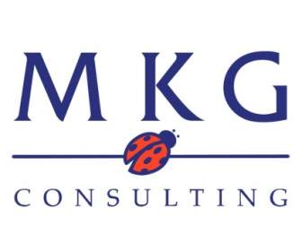 MKG Consultoria