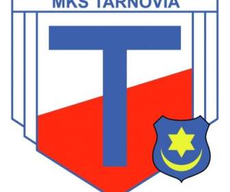 Mks Tarnovia Tarnow