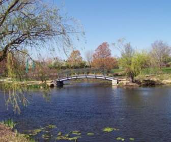 Monet Bridge In Park