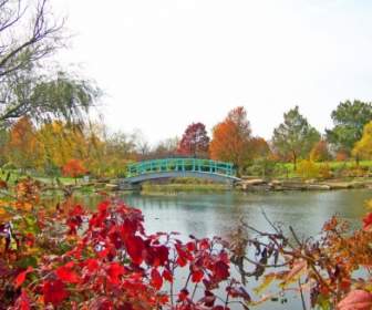 Jembatan Monet Di Taman Di Musim Gugur