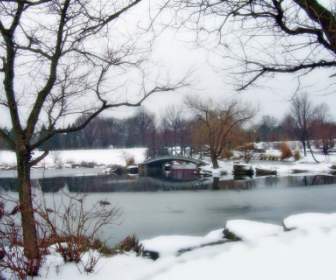 Monet Brücke Im Park Im Schnee