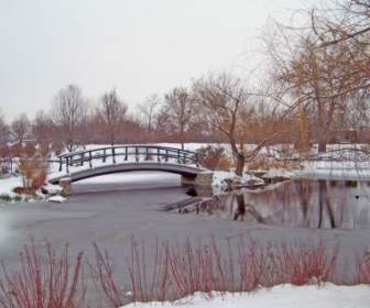 Monet Brücke Im Verschneiten Park