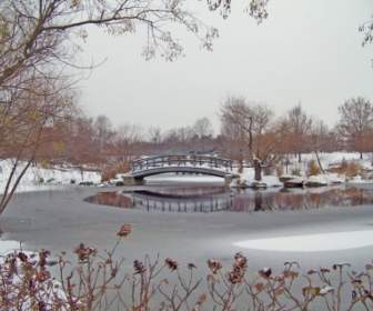 Jembatan Monet Di Snowcovered Park