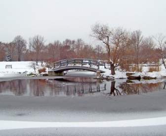 Monet Bridge In Snowcovered Park