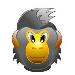 monkey