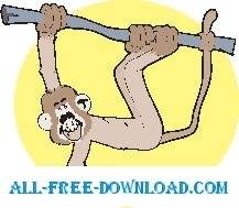 Mono Colgando En El árbol